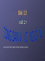 bài 13 công dân với cộng đồng tiết 2