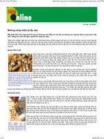 Những công nhân bị tẩy não