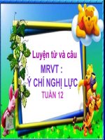 MRVT - Ý chí nghị lực