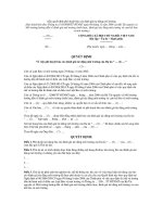 Mẫu quyết định phê duyệt báo cáo đánh giá tác động môi trường