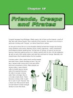 friemds, creeps, and pirates