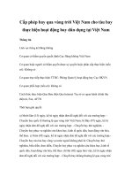 Cấp phép bay qua vùng trời Việt Nam cho tàu bay thực hiện hoạt động bay dân dụng tại Việt Nam