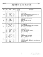 lớp 5(2010-2011)Tuần 12.