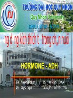 Hormon ADH