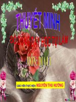 thuyet minh DDDH tu lam- dia