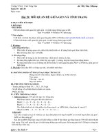 giáo án mẫu- tập huấn chuẩn KTKN- KNS