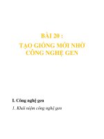 tạo giống nhở công nghệ gen