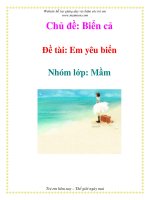 Chủ đề: Biển cả - Đề tài: Em yêu biển - Nhóm lớp: Mầm