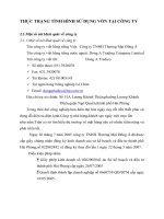 THỰC TRẠNG TÌNH HÌNH SỬ DỤNG VỐN TẠI CÔNG TY