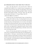 QUÁ TRÌNH HÌNH THÀNH VÀ PHÁT TRIỂN CÔNG TY SÔNG ĐÀ 8