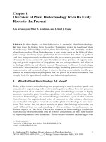 Overview of Plant Biotechnology from Its Early Roots to the Present