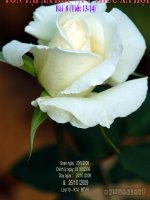 Tồn tại Xã hội và ý thức xã hội