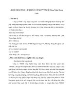 ĐẶC ĐIỂM TÌNH HÌNH CỦA CÔNG TY TNHH Công Nghệ Song Linh