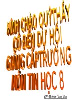 tin 8: 1 số ví dụ..