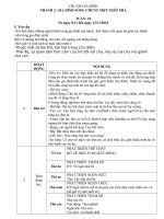 be thich kieu nha nao