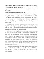 THỰC TRẠNG VỀ VỐN VÀ HIỆU QUẢ SỬ DỤNG VỐN TẠI CÔNG TY TNHH DƯỢC THẢO PHÚC VINH