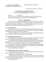 Bao cao thanh tich đang vien 2010