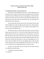 CƠ SỞ LÝ LUẬN VÀ THỰC TIỄN CỦA VIỆC PHÁT TRIỂN