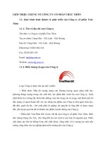 GIỚI THIỆU CHUNG VỀ CÔNG TY CỔ PHẦN TRÚC THÔN