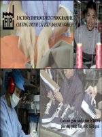 FACTORY IMPROVEMENT PROGRAMME CHƯƠNG TRÌNH CẢI TIẾN DOANH NGHIỆP