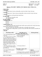 vân - tin6 - tuần12 - tiet 23