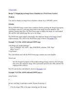 Displaying an Image from a Database in a Web Forms Control