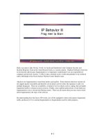 IP Behavior II Frag mentation