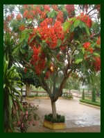 Tập đọc 3- Cùng vui chơi