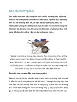 Con tàu thương hiệu