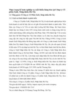 Thực trạng kế toán nghiệp vụ xuất khẩu hàng hóa tại Công ty Cổ phần Xuất_Nhập khẩu Hà Tây