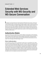 Extended Web Services Security with WS-Security and WS-Secure Conversation