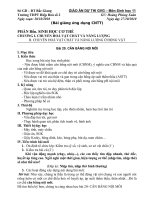 B20. CAN BANG NOI MOI (Thi GVG Tinh BG)