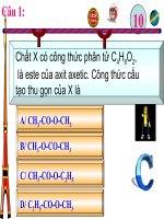 10 cau do vui hoa 12