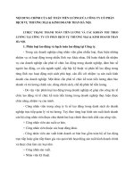 NỘI DUNG CHÍNH CỦA KẾ TOÁN TIỀN LƯƠNGCỦA CÔNG TY CỔ PHẦN DỊCH VỤ THƯƠNG MẠI