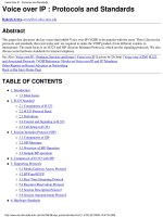 Voice over IP : Protocols and Standards