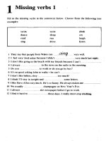 Start Testing Your Vocabulary - Missing verbs