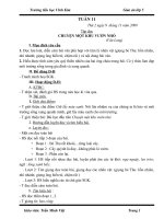 Giáo án lớp 5-Tuần 11