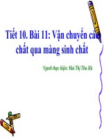 Bài 11. Vận chuyển các chất qua màng sinh chất