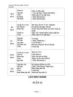 GIAO AN TUAN 12- LOP 4 CKTKN