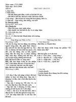 Tiết 11-12-13 AN 6