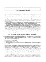The Binomial Model