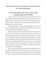 TỔNG QUAN VỀ CÔNG TY CỔ PHẦN XÂY DỰNG HẠ TẦNG KỸ THUẬT SÔNG HỒNG