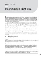 Programming a Pivot Table