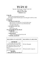 Mĩ thuật tuần 12