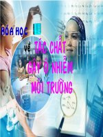 Hóa chất làm ô nhiễm môi trường