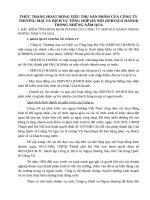 THỰC TRẠNG HOẠT ĐỘNG TIÊU THỤ SẢN PHẨM CỦA CÔNG TY THƯƠNG MẠI VÀ DỊCH VỤ TỔNG HỢP HÀ NỘI