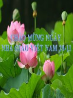 Bài 15: Cacbon Hoi giang 20-11