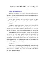 Kỹ thuật mới thu hái và bảo quản hoa đồng tiền