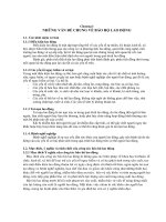 NHỮNG VẤN ĐỀ CHUNG VỀ BẢO HỘ LAO ĐỘNG