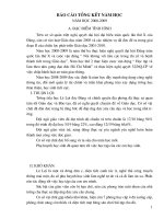 BAO CAO TK NAM 08-09.doc